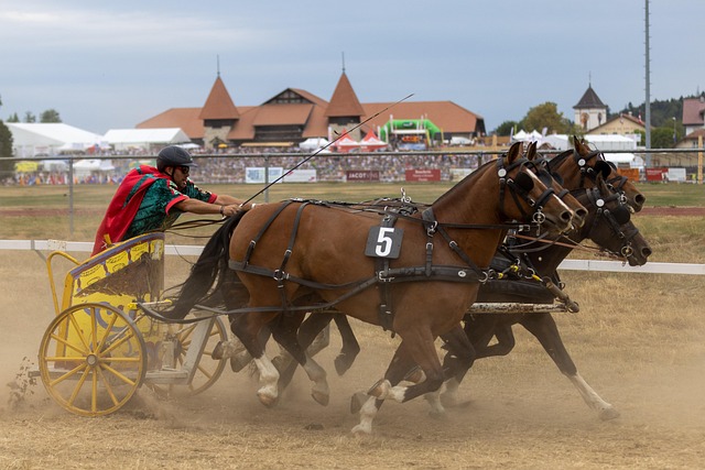 场起脚射门 场起脚射门