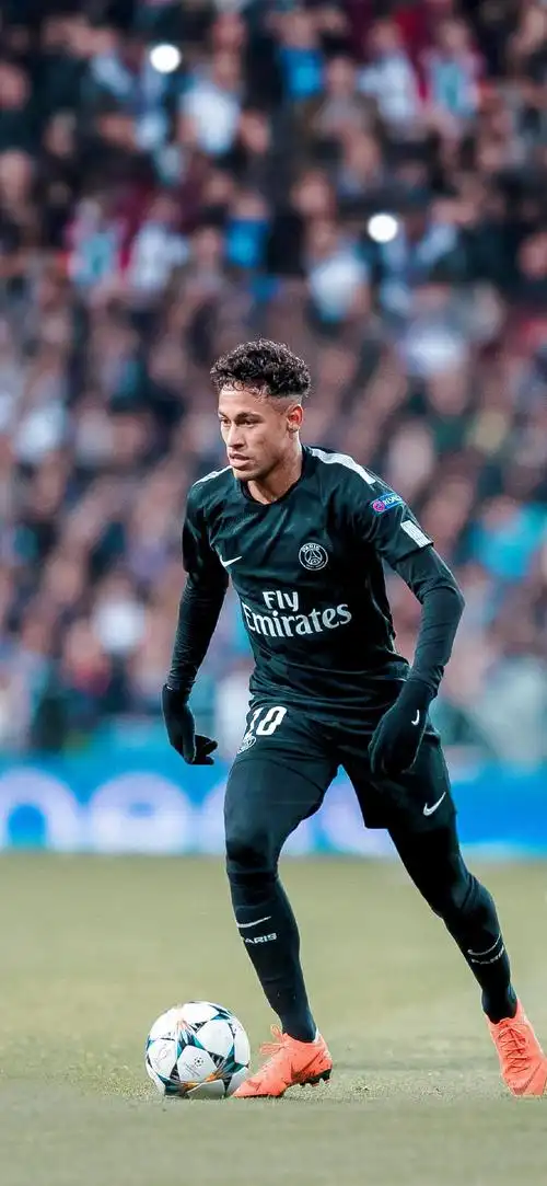 节都将形成 节都将形成